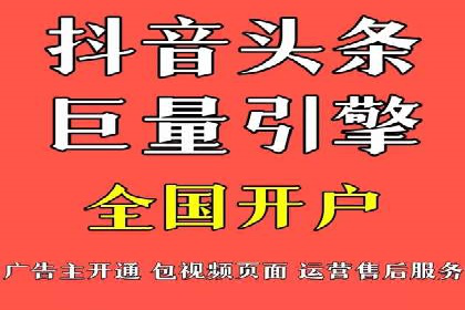 网络推广与竞价广告：双管齐下的策略案例